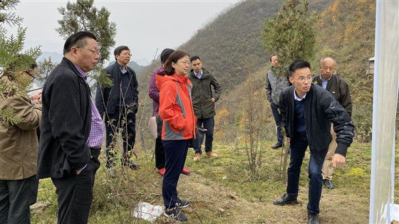 2b70a41848147315832b7d75cf938219.jpg 示范工程1负责人讲解_副本.jpg