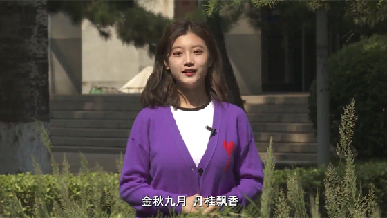 d5a19057a1603131ea444e96462c583a.png 12_副本.png